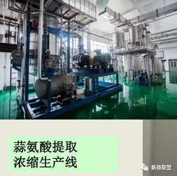 霍爾果斯 從百年邊陲口岸到跨境金融與網絡技術的“新試驗田”